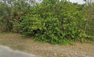 Lehigh Acres Area Lot For Sale in Lehigh Acres Florida