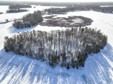 Lake Nokomis Acreage For Sale in Tomahawk Wisconsin