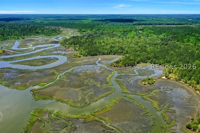 Lake Lot For Sale in Ridgeland, South Carolina