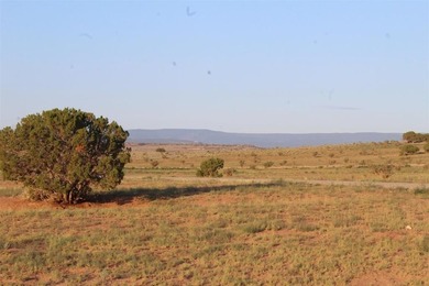 When you have a place that has majestic views in 360, you wonder - photo 11