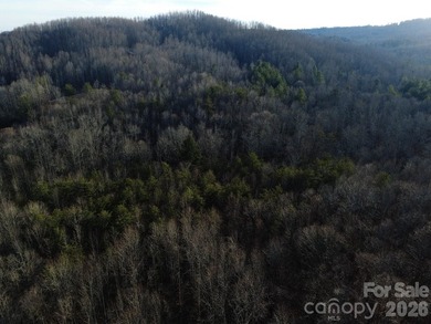 Embrace the tranquil mountain lifestyle on this remarkable - photo 13