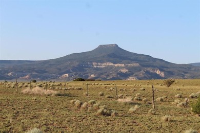 When you have a place that has majestic views in 360, you wonder - photo 19