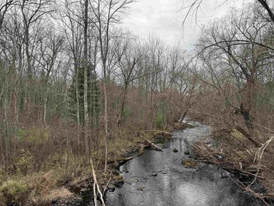 Lake Acreage For Sale in Fifield, Wisconsin