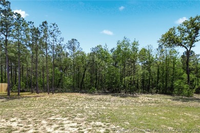 Welcome to 258 Collier Gate, a beautifully maintained home - photo 48