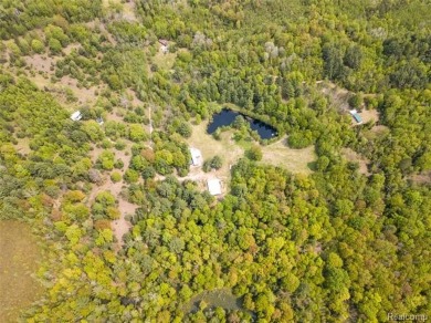 Lake Home For Sale in Kalkaska, Michigan