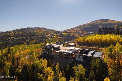 Moonshadow G represents one of the final new-construction