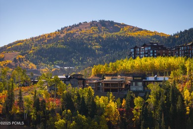 Moonshadow G represents one of the final new-construction