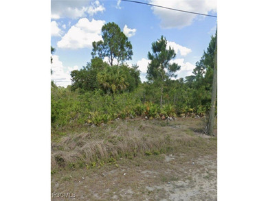 Lehigh Acres Area Lot For Sale in Lehigh Acres Florida