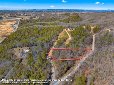 Lake Lot For Sale in Newport, Tennessee