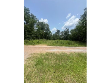 Lake Latt Lot For Sale in Colfax Louisiana