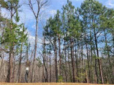 Lake Lot For Sale in Cartersville, Georgia