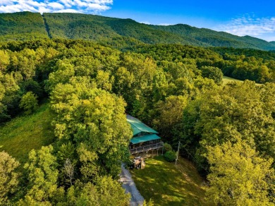 Lake Home For Sale in Mooresburg, Tennessee