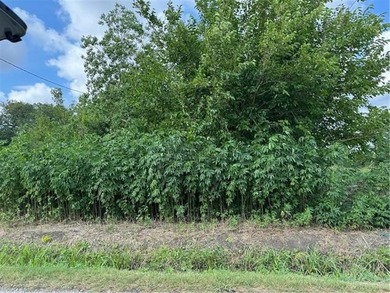 Great 50' x 200' vacant lot in lower St. Bernard. Close - photo 2
