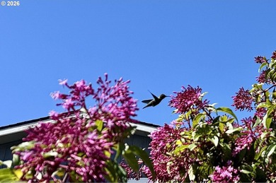 MOTIVATED SELLER! Relaxed lifestyle on the coast... This - photo 22