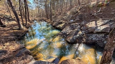 (private lake, pond, creek) Acreage For Sale in Pittsburg Oklahoma