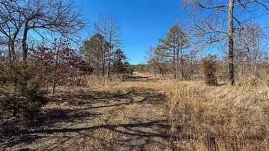Frog Eagle Ranch consists of 771+/- acres located in Daisy - photo 6
