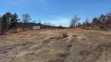 Frog Eagle Ranch consists of 771+/- acres located in Daisy - photo 9