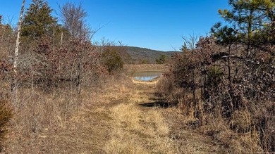 Frog Eagle Ranch consists of 771+/- acres located in Daisy - photo 10