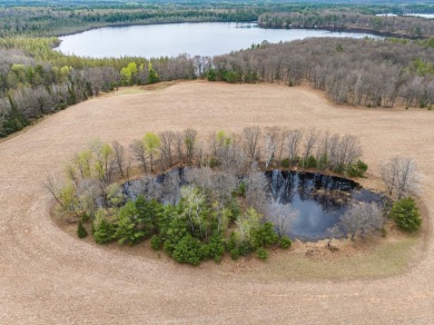 Moen Chain of Lakes Acreage For Sale in Rhinelander Wisconsin