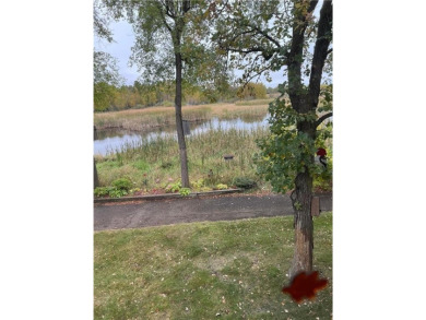 Lake Townhome/Townhouse For Sale in Big Lake, Minnesota