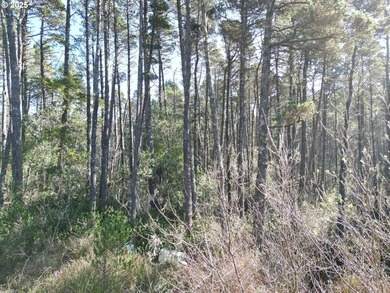 Discover this slice of paradise near the beach! Just a few - photo 3
