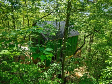 Welcome to Dryden Ridge! One of the first cabins available in - photo 3