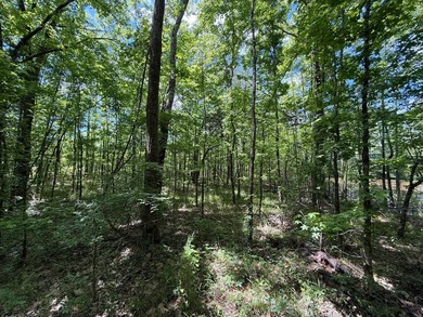 LOCATED IN RANKIN COUNTY, MS, THIS BEAUTIFUL 12.41+/- ACRE - photo 11