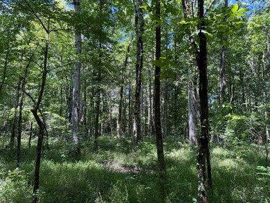 LOCATED IN RANKIN COUNTY, MS, THIS BEAUTIFUL 12.41+/- ACRE - photo 12