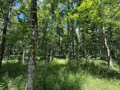LOCATED IN RANKIN COUNTY, MS, THIS BEAUTIFUL 12.41+/- ACRE - photo 13