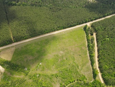 LOCATED IN RANKIN COUNTY, MS, THIS BEAUTIFUL 12.41+/- ACRE - photo 15