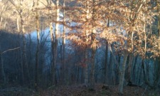 Premier Building Lot Overlooking Beautiful Dale Ho - photo 5