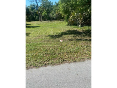Lehigh Acres Area Lot For Sale in Lehigh Acres Florida
