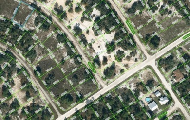 Lake Lot For Sale in Lake Placid, Florida