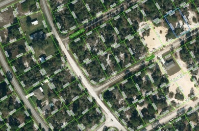 Lake Lot For Sale in Lake Placid, Florida