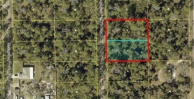 Lehigh Acres Area Lot For Sale in Alva Florida