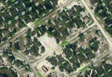 Lake Lot For Sale in Lake Placid, Florida