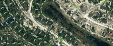 Lake Lot For Sale in Lake Placid, Florida