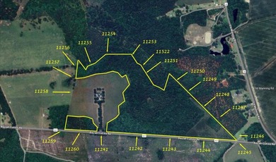 (private lake, pond, coastal) Acreage For Sale in Sumter South Carolina
