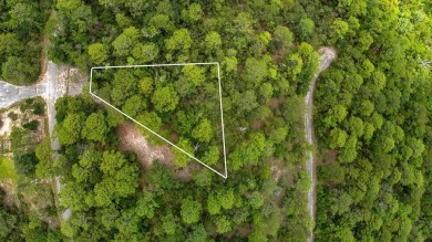 Lake Lot For Sale in Brookeland, Texas