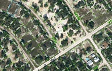 Lake Lot For Sale in Lake Placid, Florida