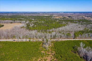 107.46 acres of vacant land. ~4,000 ft road frontage. Close to - photo 4