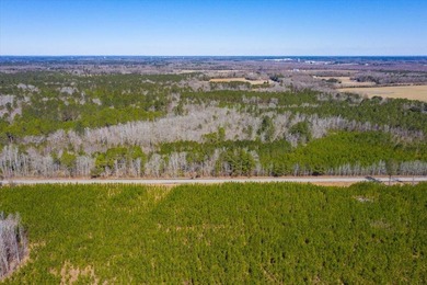 107.46 acres of vacant land. ~4,000 ft road frontage. Close to - photo 5