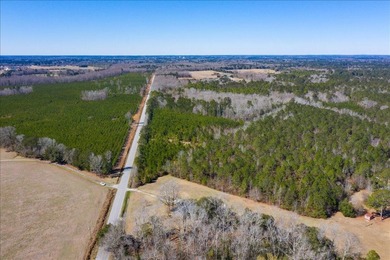 107.46 acres of vacant land. ~4,000 ft road frontage. Close to - photo 8