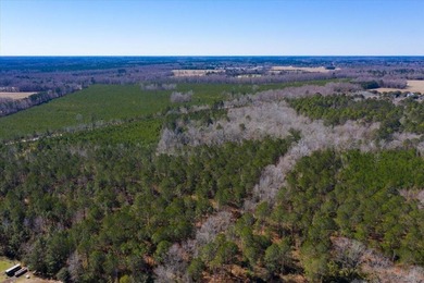 107.46 acres of vacant land. ~4,000 ft road frontage. Close to - photo 10