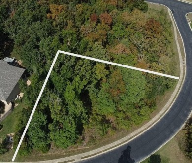 Table Rock Lake Lot For Sale in Branson Missouri