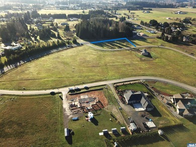 Prime 1 acre building lot with Olympic Mountain View and paved - photo 11