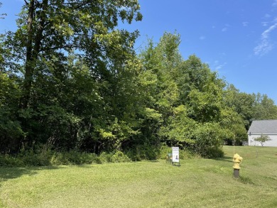 Looking for the Perfect Spot to Build your Dream Home? This is - photo 2