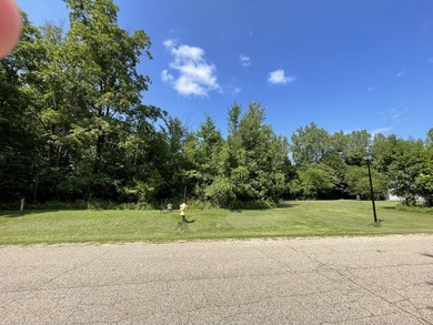 Looking for the Perfect Spot to Build your Dream Home? This is - photo 3
