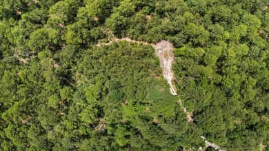 Lake Lot For Sale in Brookeland, Texas