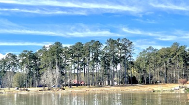  BEAUTIFUL Lake Eddins Lot with new bulkhead!! - Lake Lot For Sale in Pachuta, Mississippi